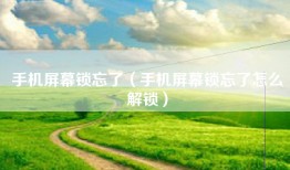 手机屏幕锁忘了（手机屏幕锁忘了怎么解锁）