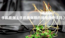 手机质保（手机质保期内换电池要钱吗）