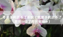 苹果手机进不了系统（苹果手机进不了系统ID锁了如何解除lD）