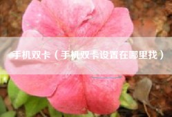 手机双卡（手机双卡设置在哪里找）