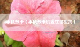 手机双卡（手机双卡设置在哪里找）