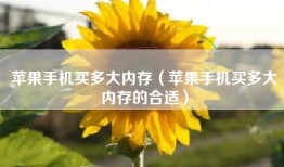 苹果手机买多大内存（苹果手机买多大内存的合适）