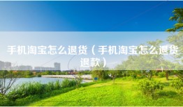 手机淘宝怎么退货（手机淘宝怎么退货退款）