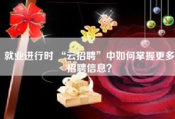 就业进行时 “云招聘”中如何掌握更多招聘信息？