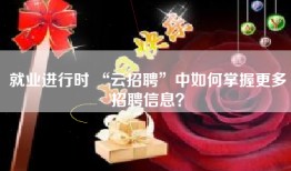 就业进行时 “云招聘”中如何掌握更多招聘信息？