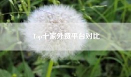 Top十家外贸平台对比