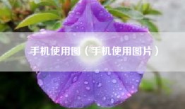 手机使用图（手机使用图片）