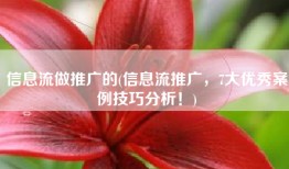 信息流做推广的(信息流推广，7大优秀案例技巧分析！)