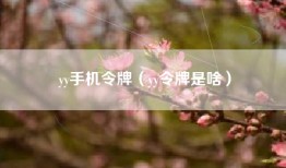 yy手机令牌（yy令牌是啥）