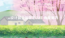 ui设计就业前景怎么样 有发展吗