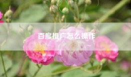 百度推广怎么操作