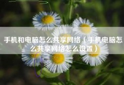 手机和电脑怎么共享网络（手机电脑怎么共享网络怎么设置）