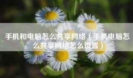 手机和电脑怎么共享网络（手机电脑怎么共享网络怎么设置）