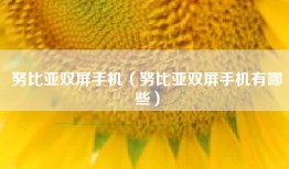 努比亚双屏手机（努比亚双屏手机有哪些）