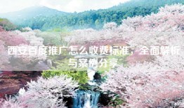 西安百度推广怎么收费标准，全面解析与案例分享