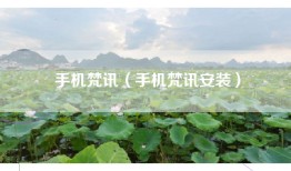 手机梵讯（手机梵讯安装）