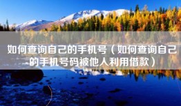 如何查询自己的手机号（如何查询自己的手机号码被他人利用借款）