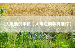 大电池的手机（大电池的手机推荐）