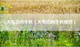 大电池的手机（大电池的手机推荐）