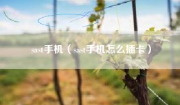 sast手机（sast手机怎么插卡）