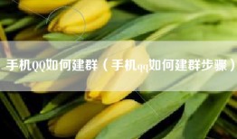 手机QQ如何建群（手机qq如何建群步骤）