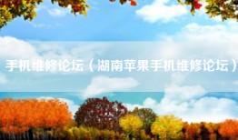 手机维修论坛（湖南苹果手机维修论坛）