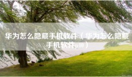 华为怎么隐藏手机软件（华为怎么隐藏手机软件p40）