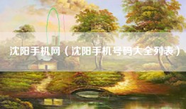 沈阳手机网（沈阳手机号码大全列表）