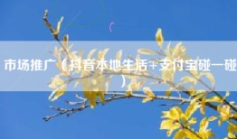 市场推广（抖音本地生活+支付宝碰一碰）