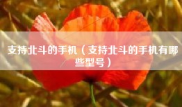 支持北斗的手机（支持北斗的手机有哪些型号）