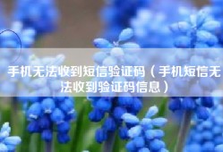 手机无法收到短信验证码（手机短信无法收到验证码信息）