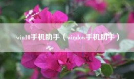 win10手机助手（window手机助手）