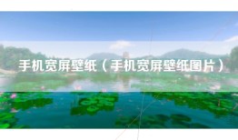 手机宽屏壁纸（手机宽屏壁纸图片）