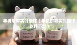 手机屏幕实时翻译（手机屏幕实时翻译软件下载）