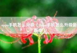 oppo手机怎么升级（Oppo手机怎么升级新版本）