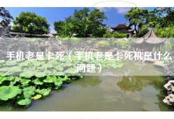 手机老是卡死（手机老是卡死机是什么问题）