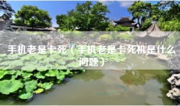 手机老是卡死（手机老是卡死机是什么问题）