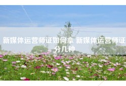 新媒体运营师证如何拿 新媒体运营师证分几种