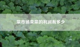 菜市场卖菜的利润有多少