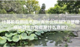 计算机应用技术和IT有什么区别？IT是程序员吗？IT究竟是什么意思？