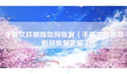 手机文件删除如何恢复（手机文件删除如何恢复正常）