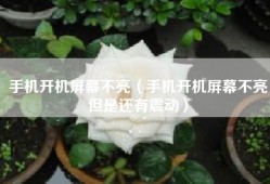 手机开机屏幕不亮（手机开机屏幕不亮但是还有震动）