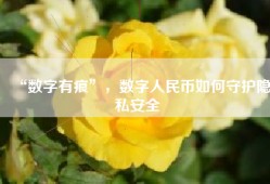 “数字有痕”，数字人民币如何守护隐私安全