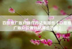 百度推广账户操作方法有哪些【百度推广账户设置包括哪些功能】