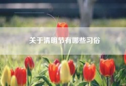 关于清明节有哪些习俗