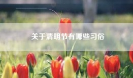 关于清明节有哪些习俗
