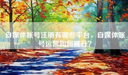 自媒体账号注册有哪些平台，自媒体账号运营如何提升？