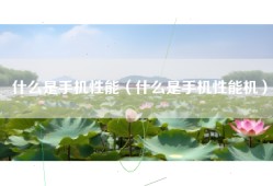 什么是手机性能（什么是手机性能机）