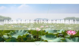 什么是手机性能（什么是手机性能机）