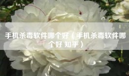 手机杀毒软件哪个好（手机杀毒软件哪个好 知乎）
